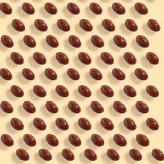 Sunissime Duo - Les Capsules Préparatrices