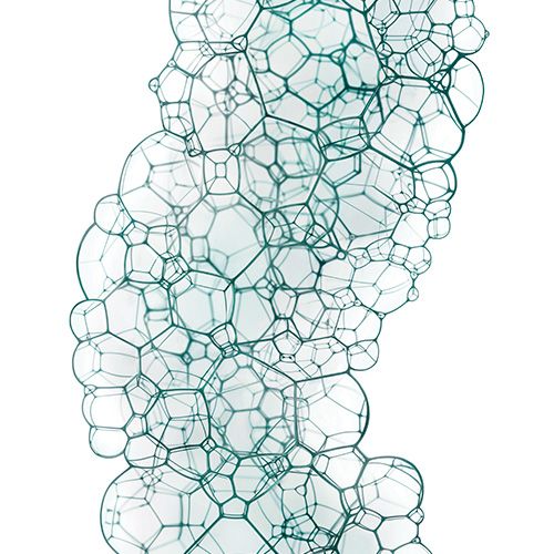 UN COMPLEXE PRÉBIOTIQUES RÉÉQUILIBRANT